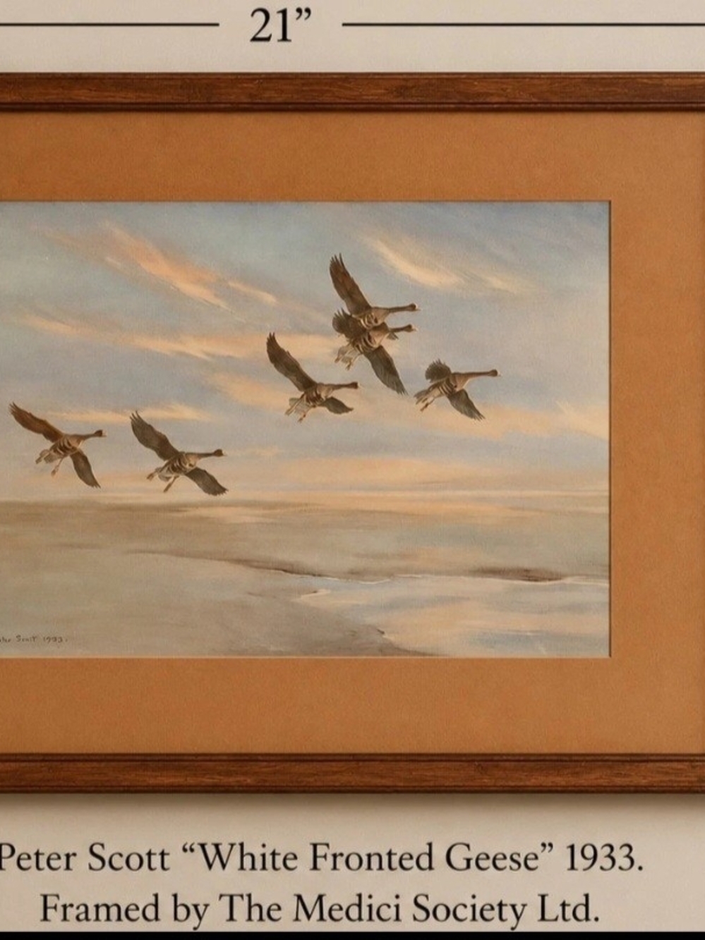 Vintage Peter Scott White Fronted Geese 1933 Medici Society Framed Print 30s-50s